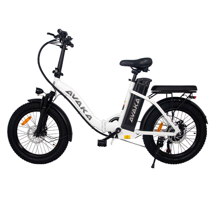 AVAKA BZ20 PLUS