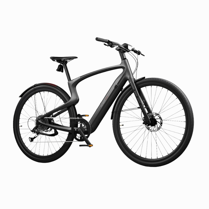 Carbon E-Bikes