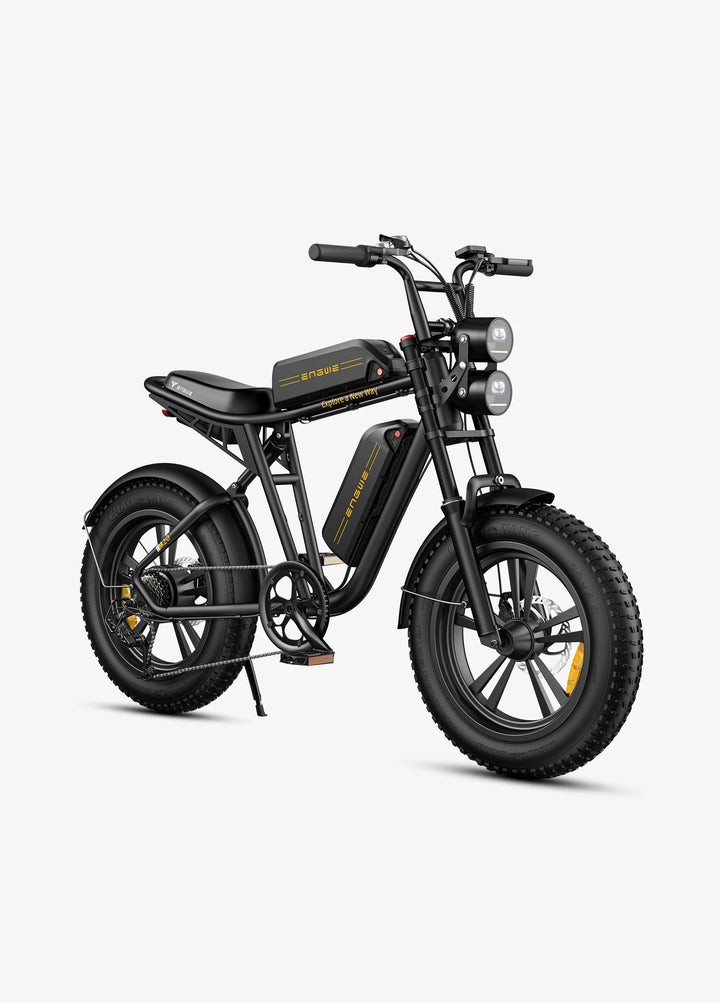 ENGWE M20 Dual Battery